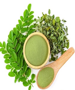 MORINGA POWDER 